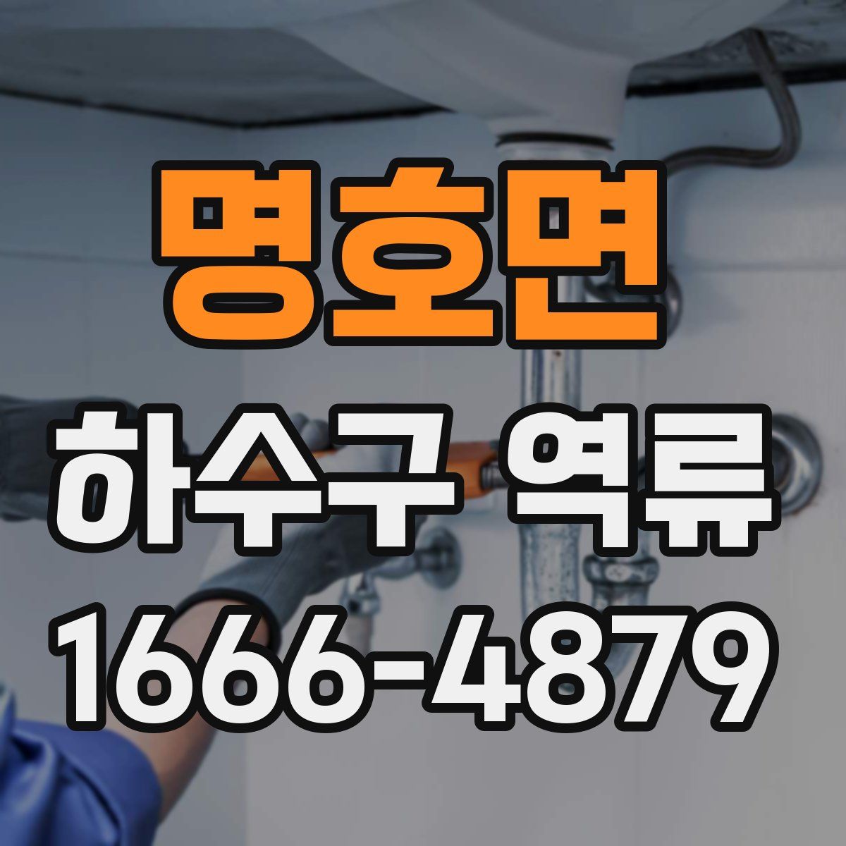 명호면 하수구 역류