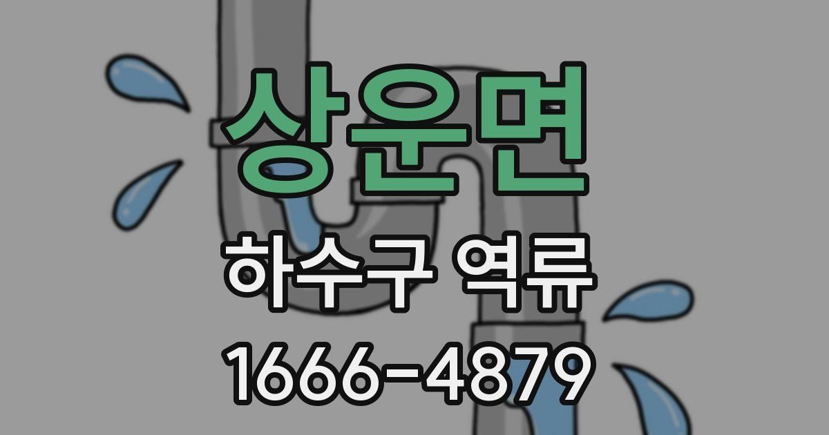 상운면 하수구 역류