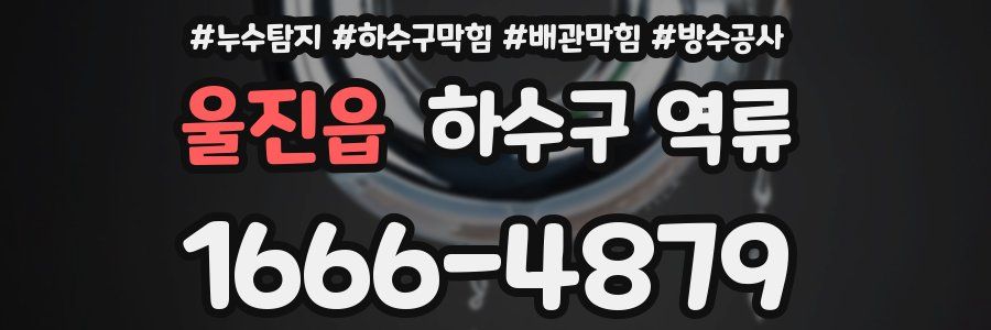울진읍 하수구 역류
