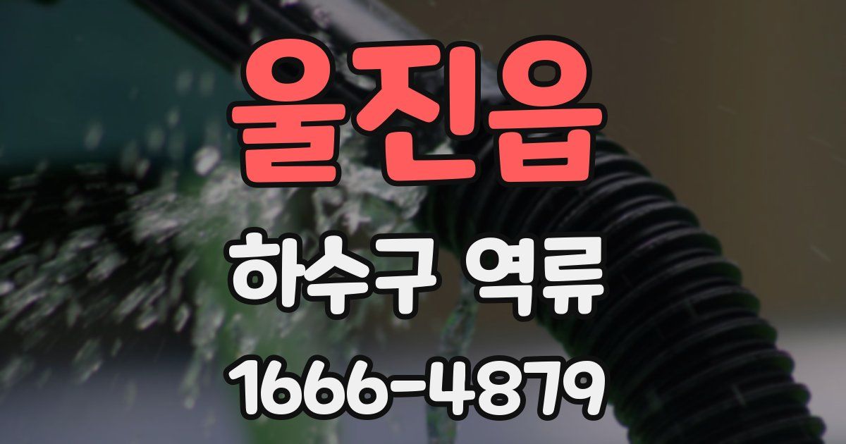 울진읍 하수구 역류
