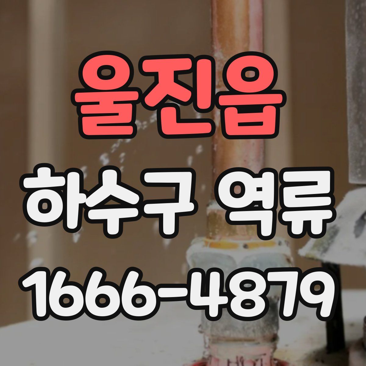울진읍 하수구 역류