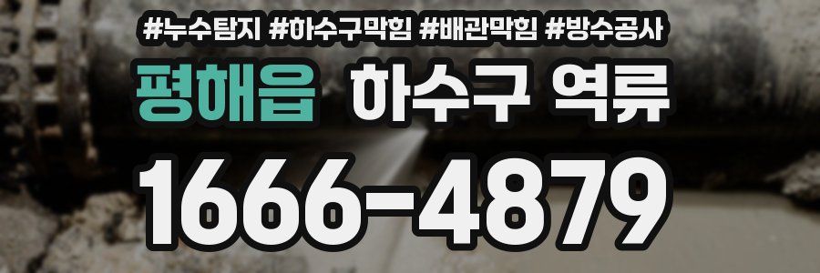 평해읍 하수구 역류