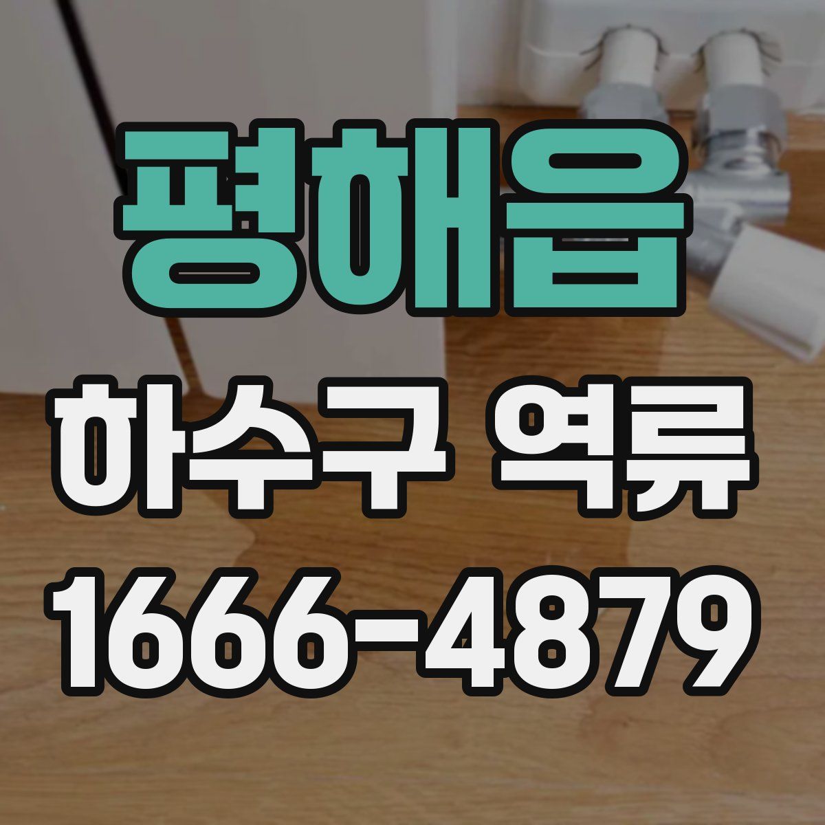 평해읍 하수구 역류