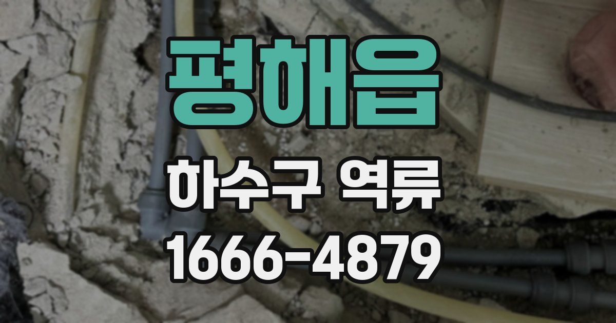 평해읍 하수구 역류