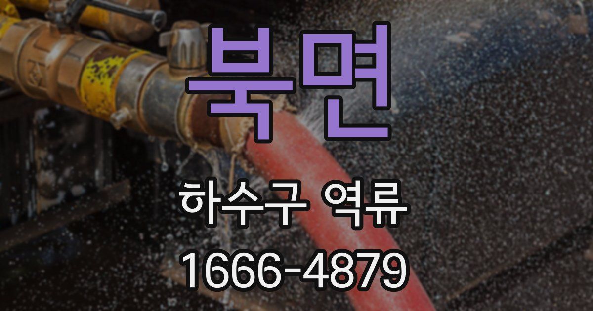 북면 하수구 역류