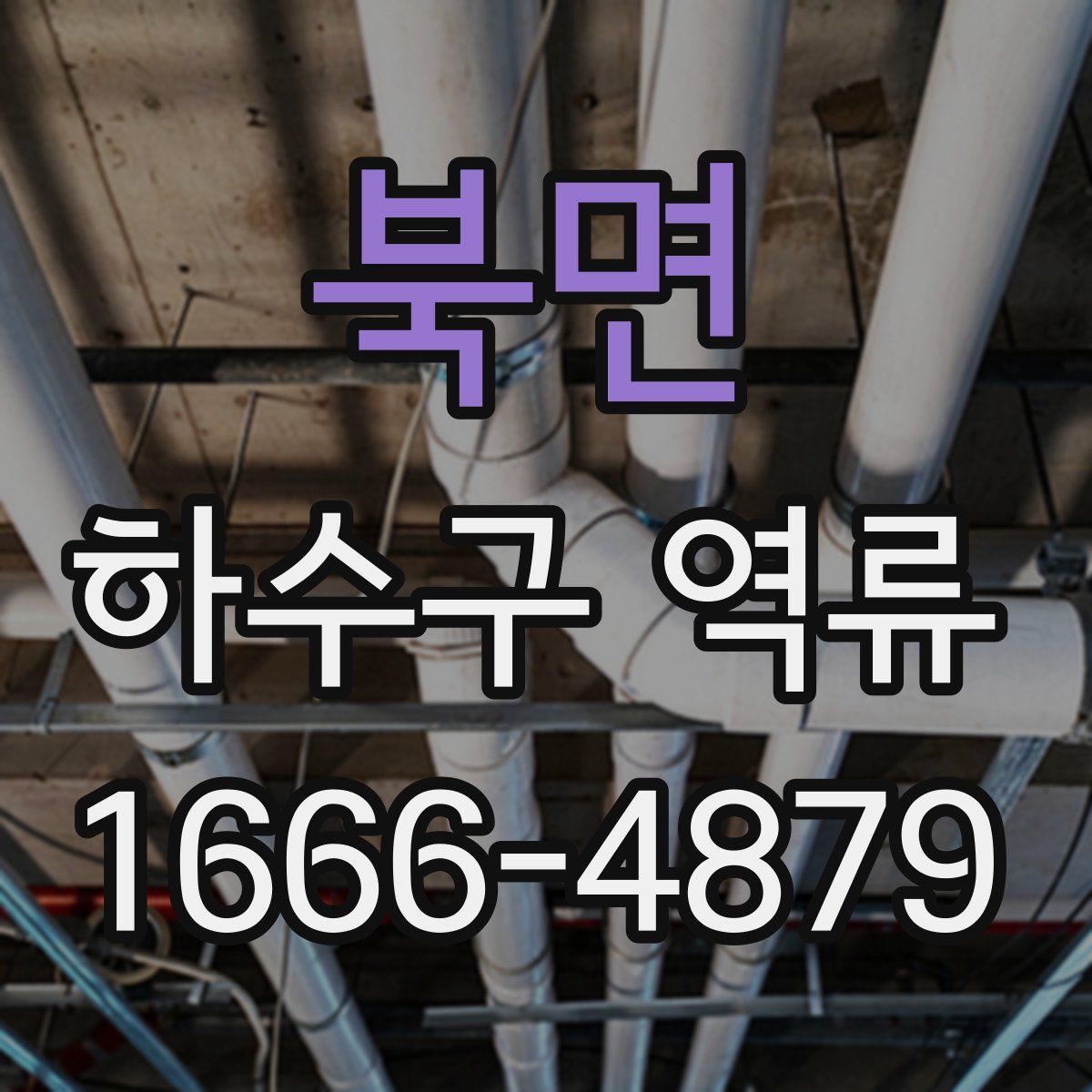 북면 하수구 역류