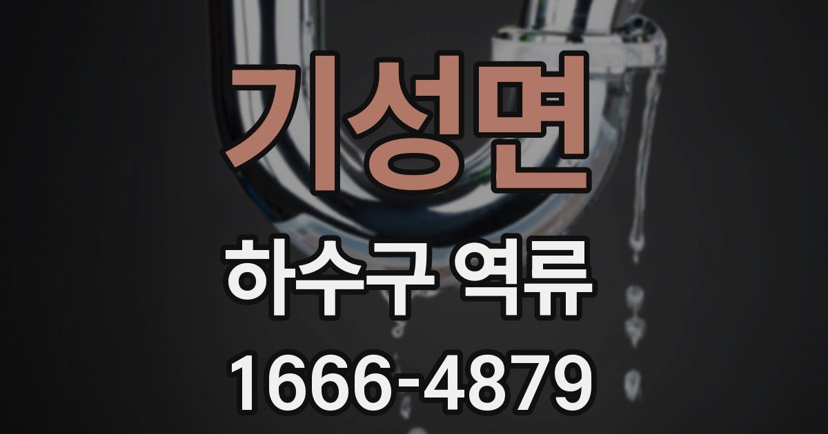기성면 하수구 역류