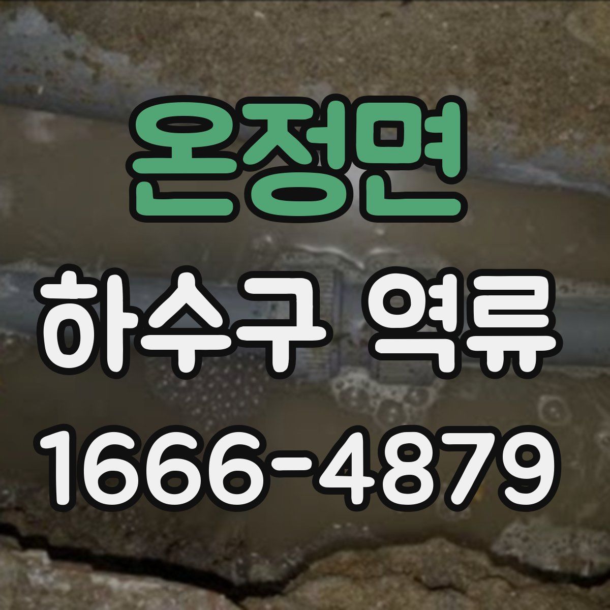 온정면 하수구 역류