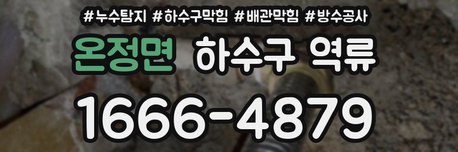 온정면 하수구 역류