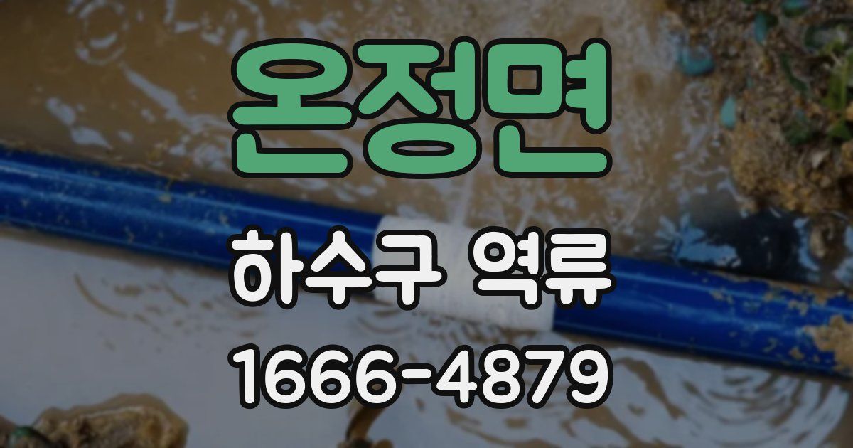 온정면 하수구 역류