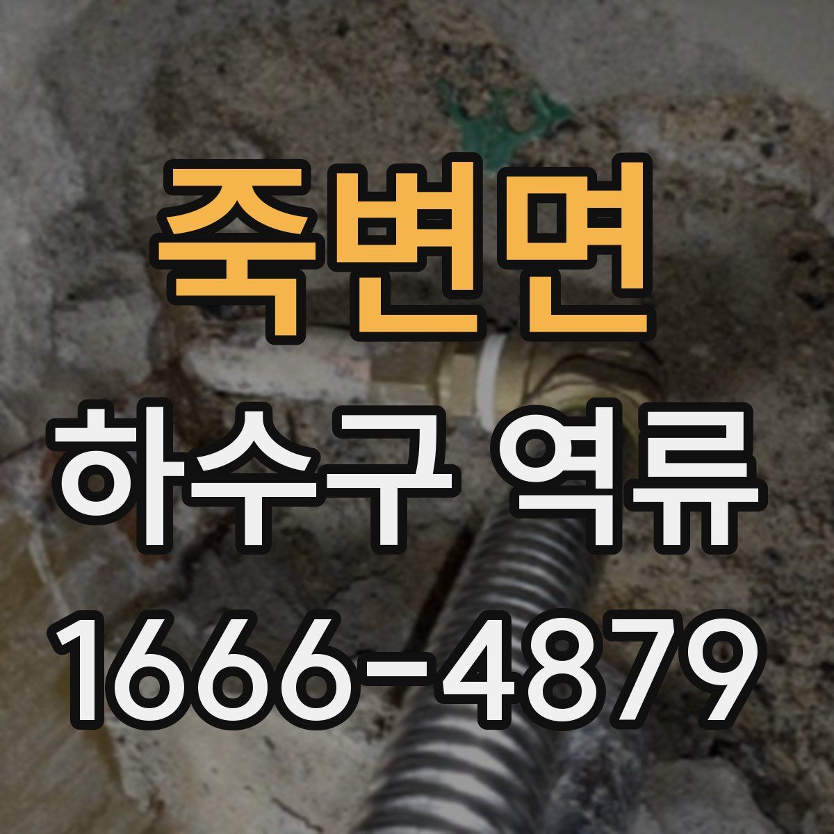 죽변면 하수구 역류