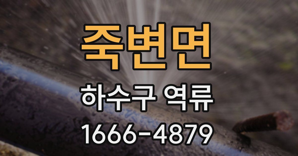 죽변면 하수구 역류