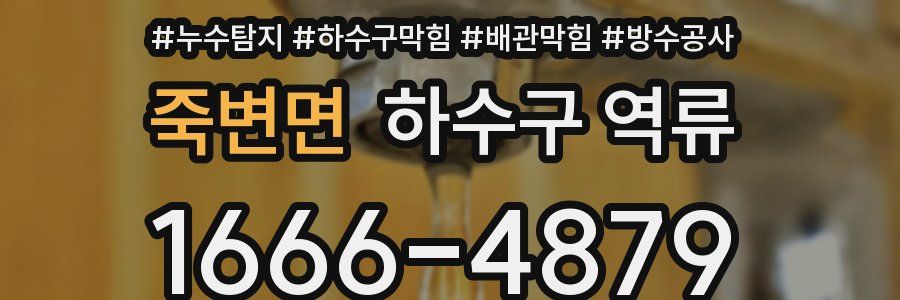 죽변면 하수구 역류