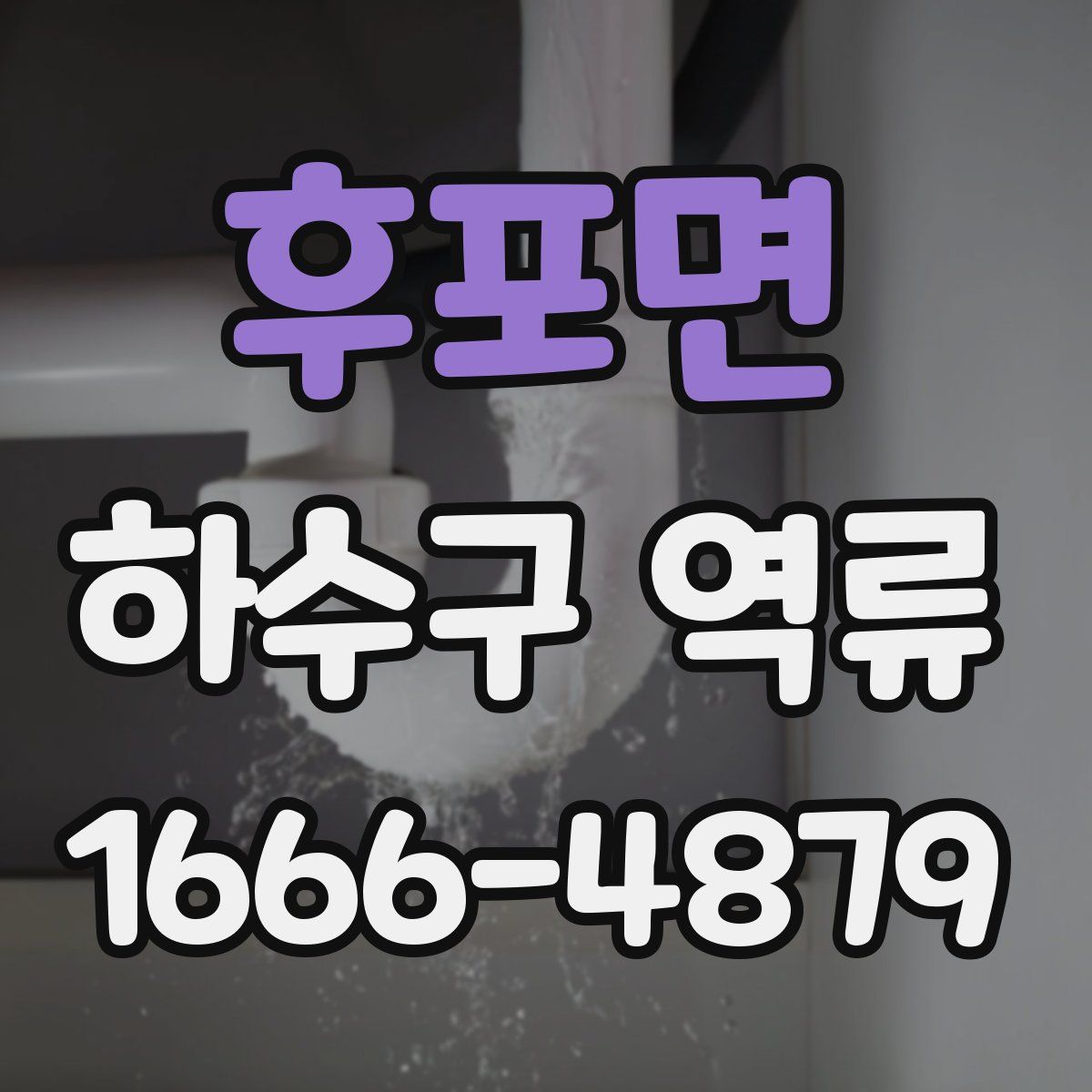 후포면 하수구 역류