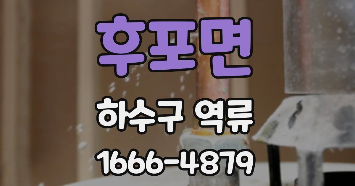 후포면 하수구 역류