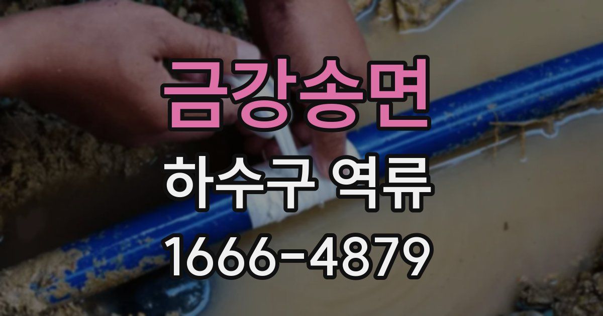 금강송면 하수구 역류