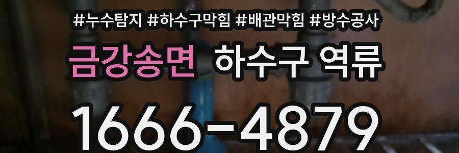 금강송면 하수구 역류