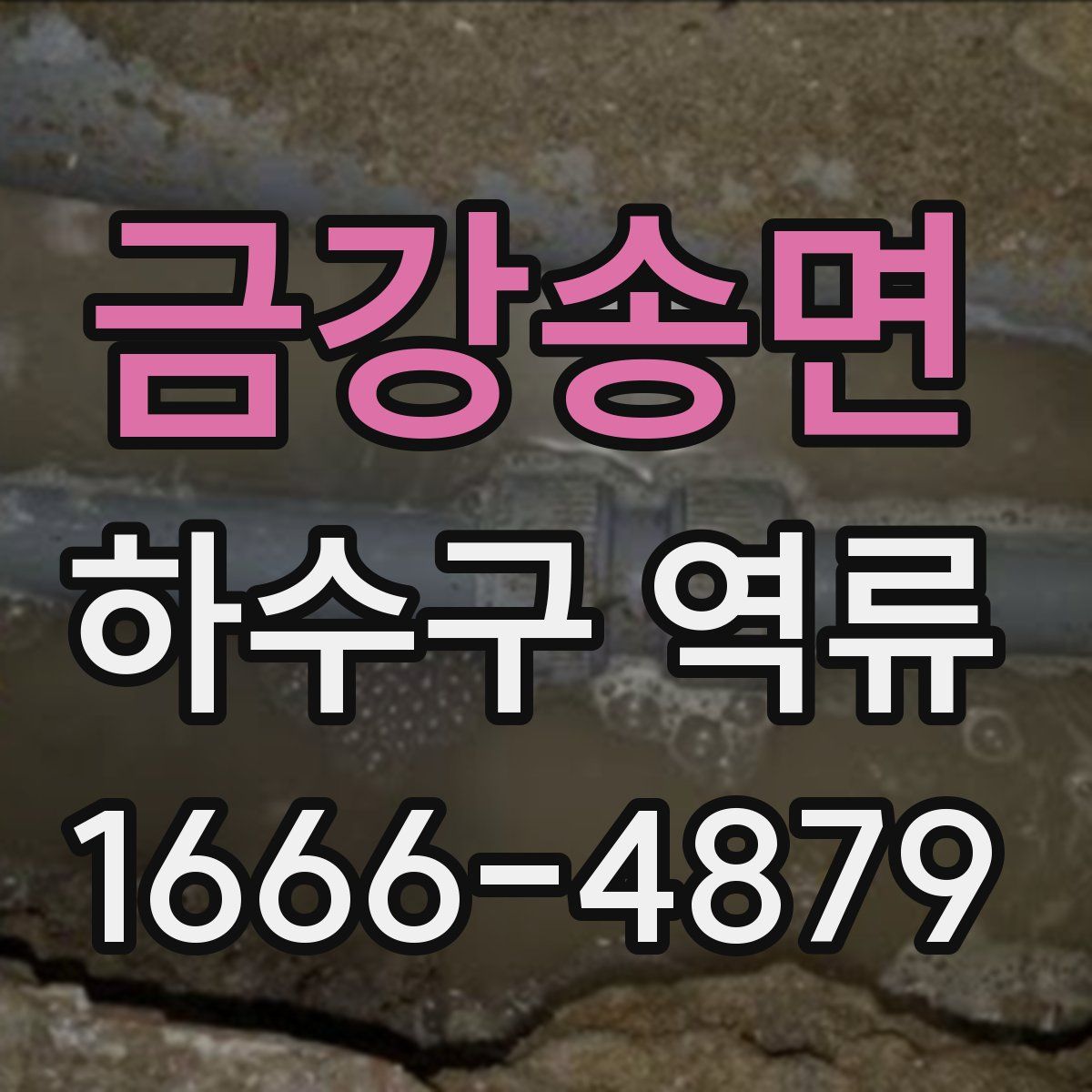 금강송면 하수구 역류
