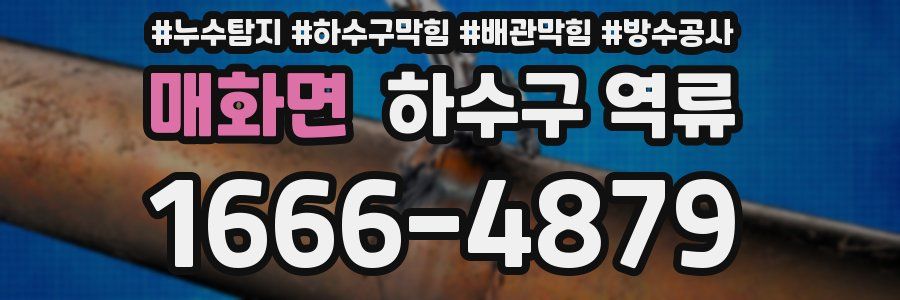 매화면 하수구 역류