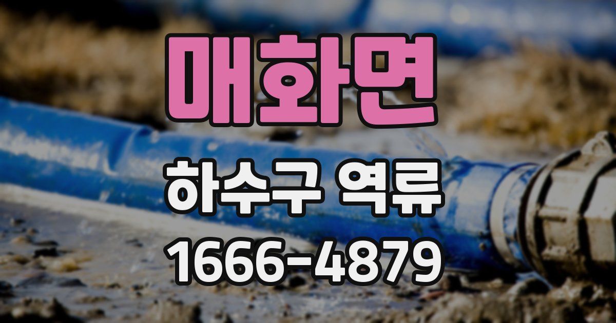 매화면 하수구 역류