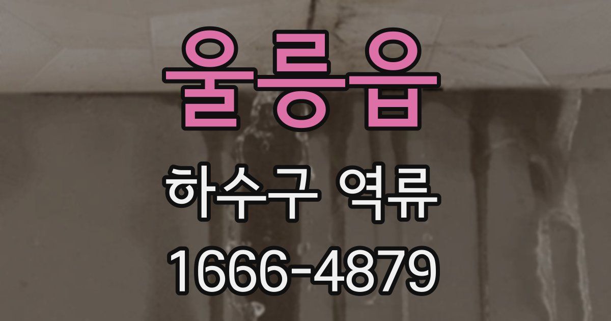 울릉읍 하수구 역류