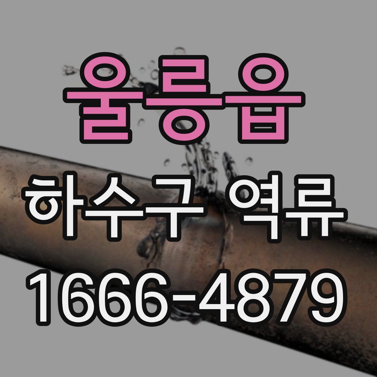 울릉읍 하수구 역류