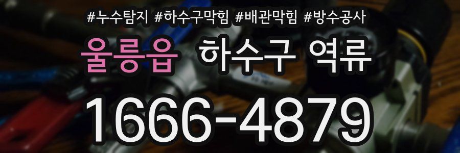 울릉읍 하수구 역류