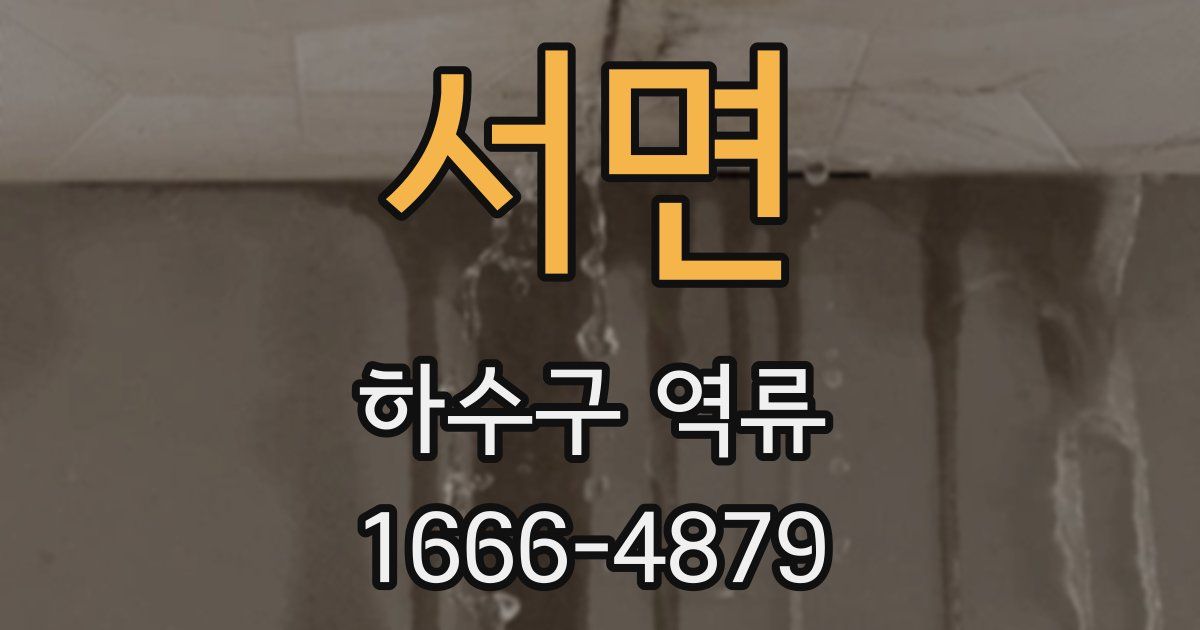 서면 하수구 역류