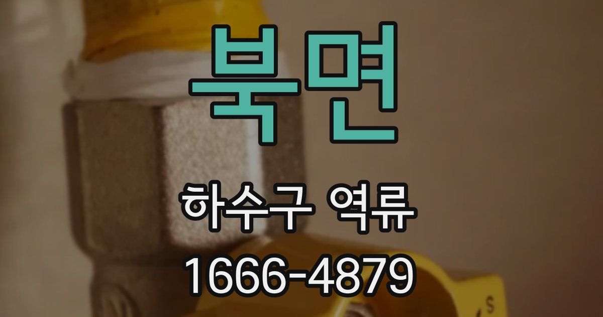 북면 하수구 역류