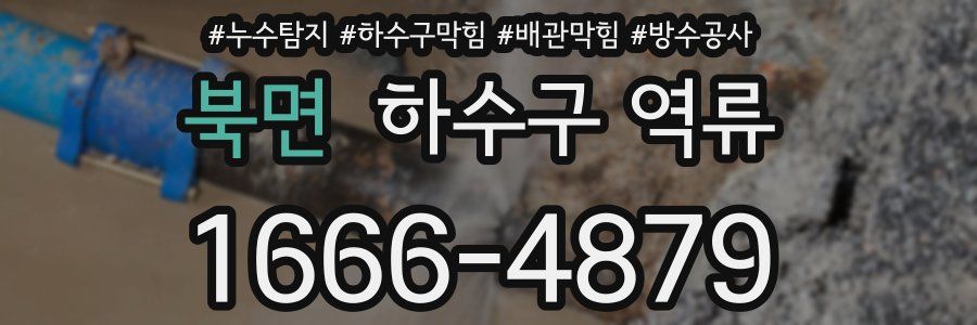 북면 하수구 역류