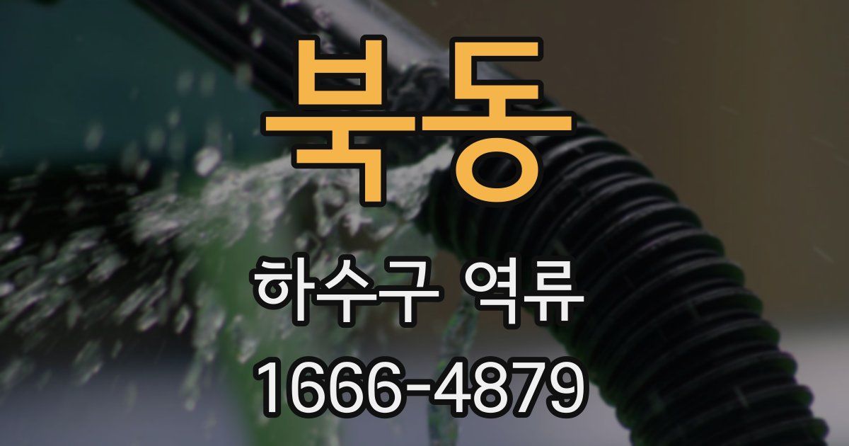 북동 하수구 역류