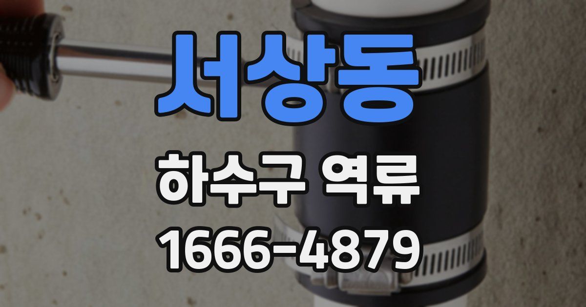 서상동 하수구 역류