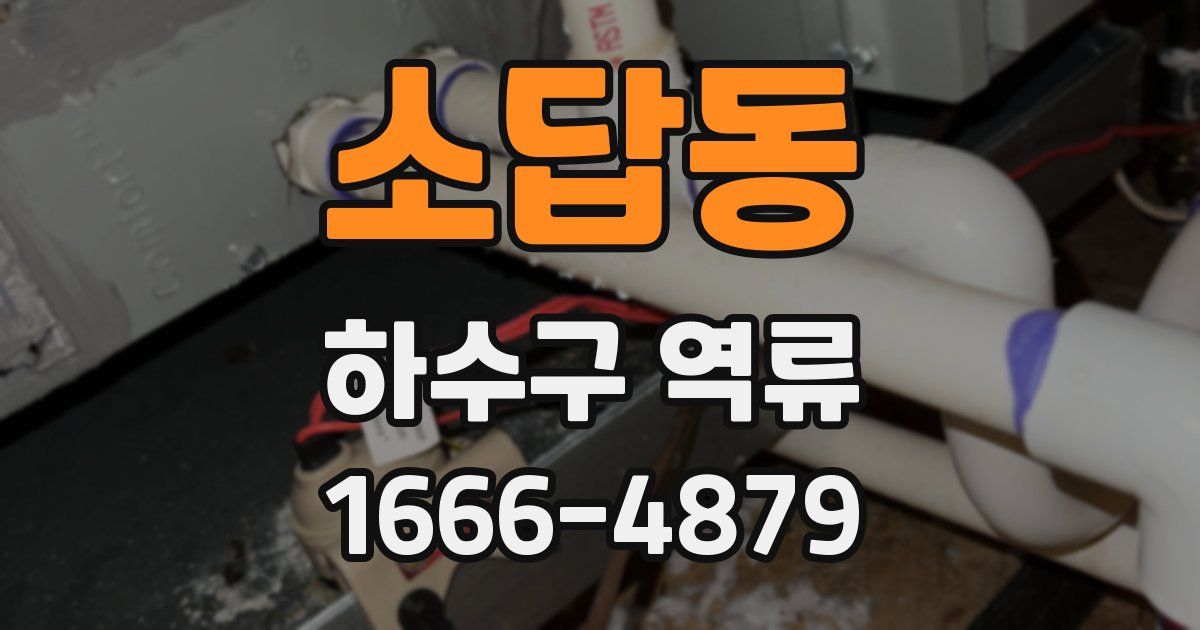 소답동 하수구 역류