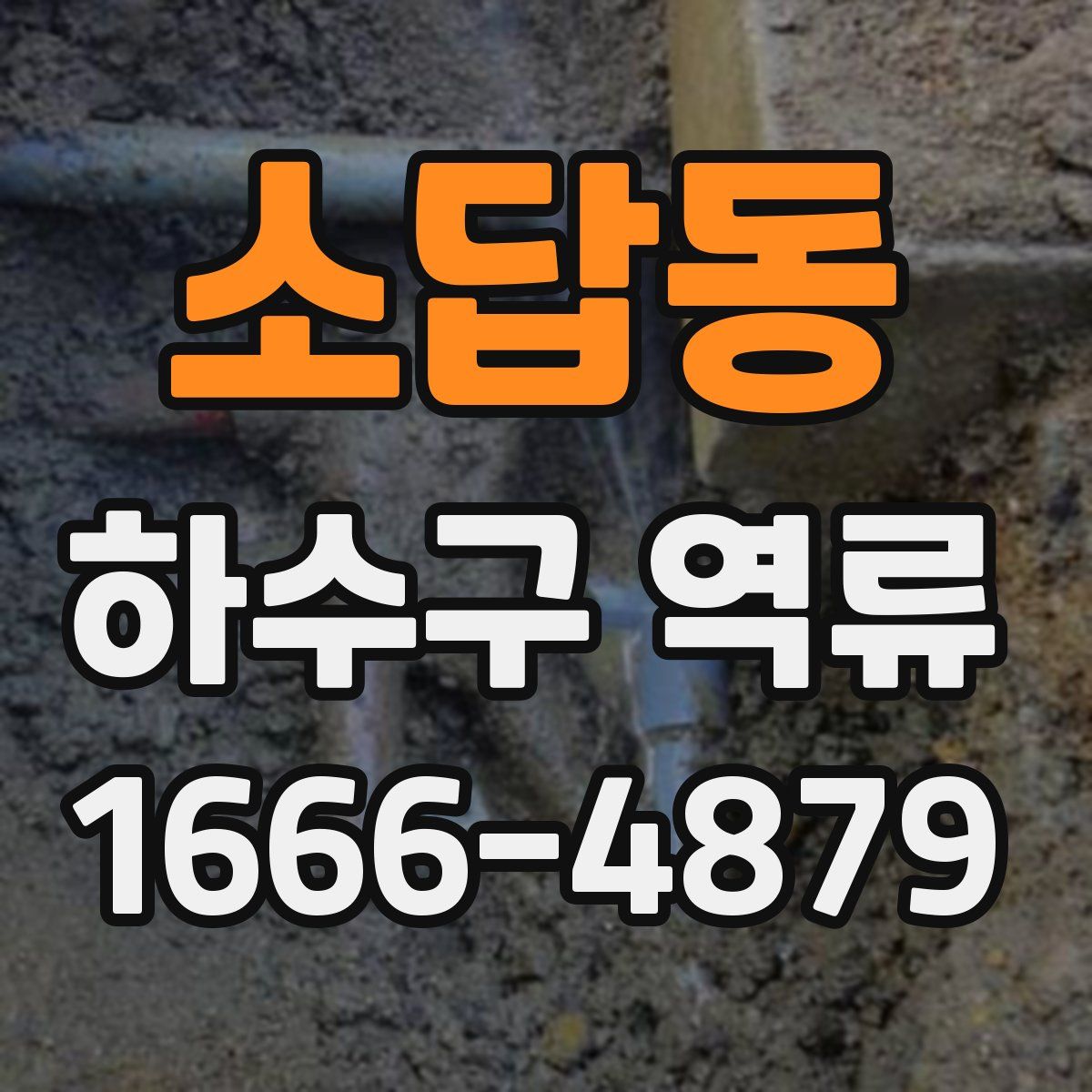 소답동 하수구 역류