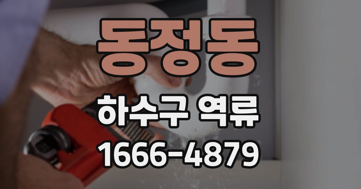 동정동 하수구 역류