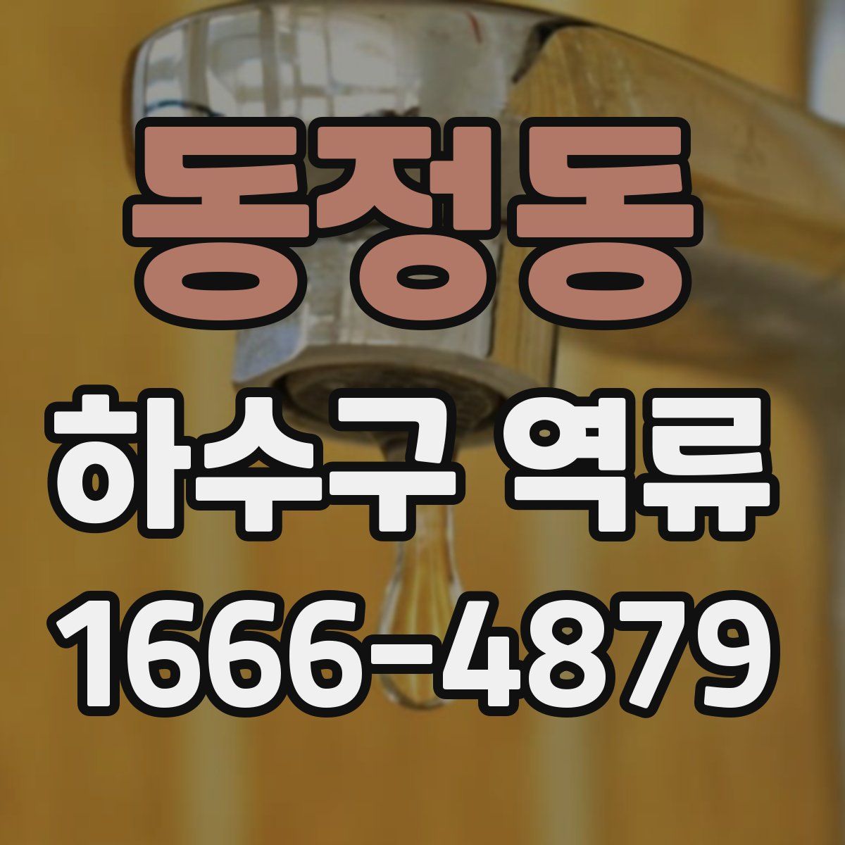 동정동 하수구 역류