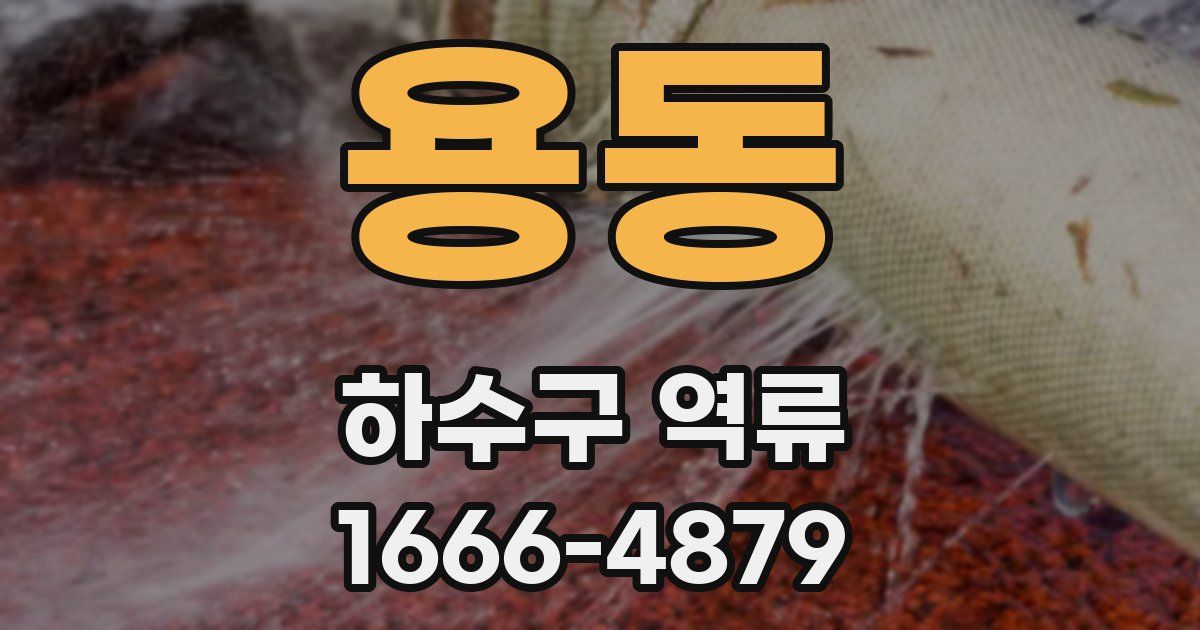 용동 하수구 역류