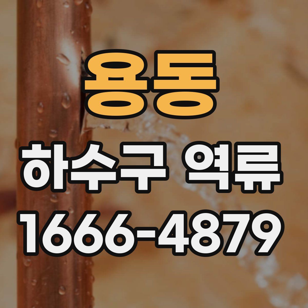 용동 하수구 역류