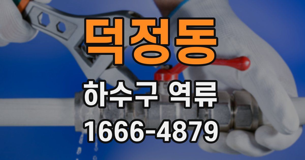 덕정동 하수구 역류