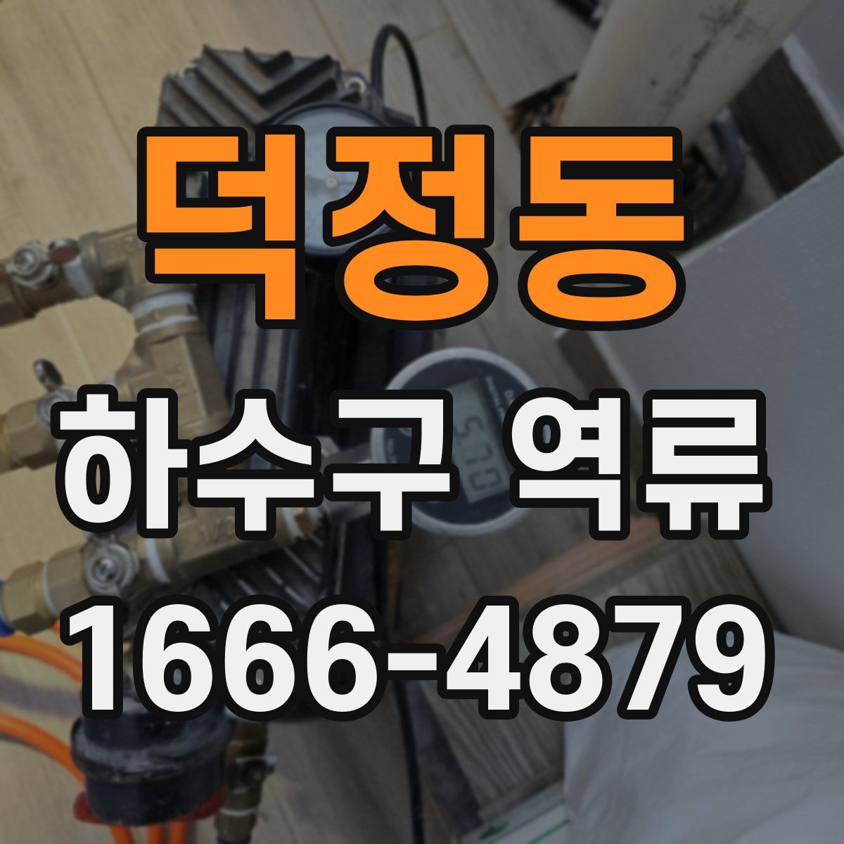 덕정동 하수구 역류