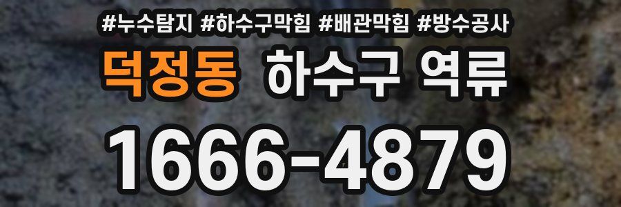 덕정동 하수구 역류