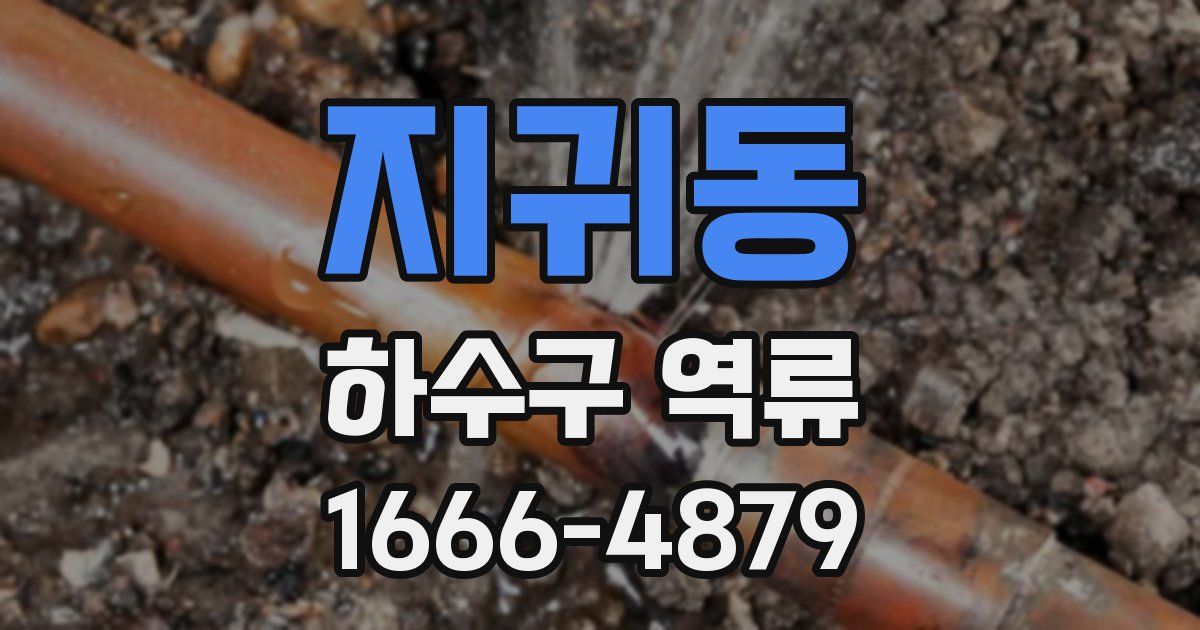 지귀동 하수구 역류