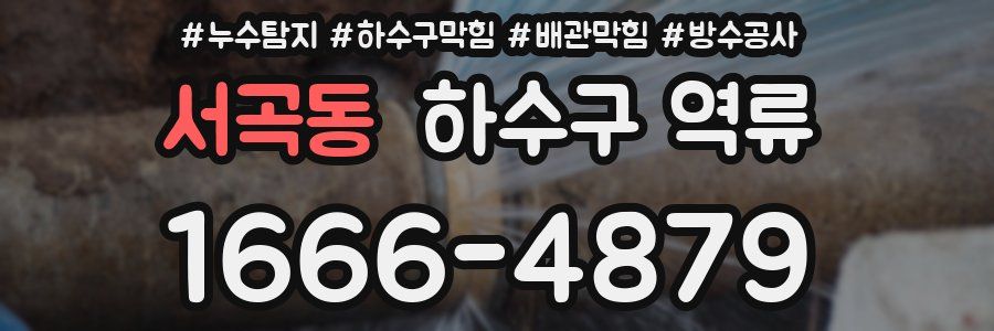 서곡동 하수구 역류