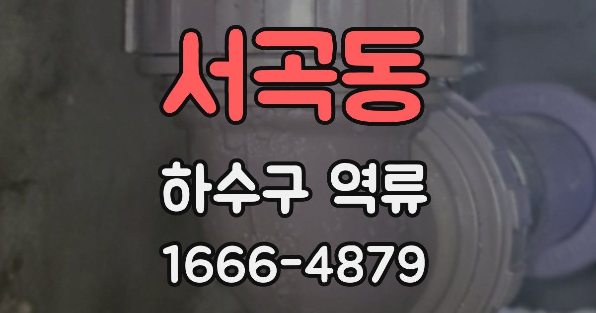 서곡동 하수구 역류