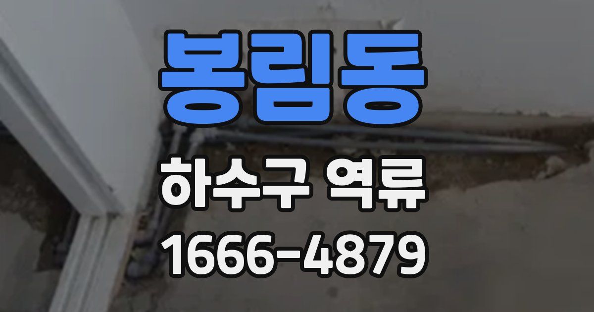 봉림동 하수구 역류