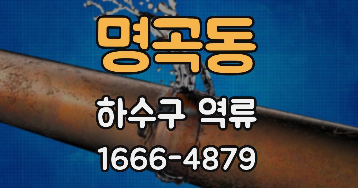 명곡동 하수구 역류