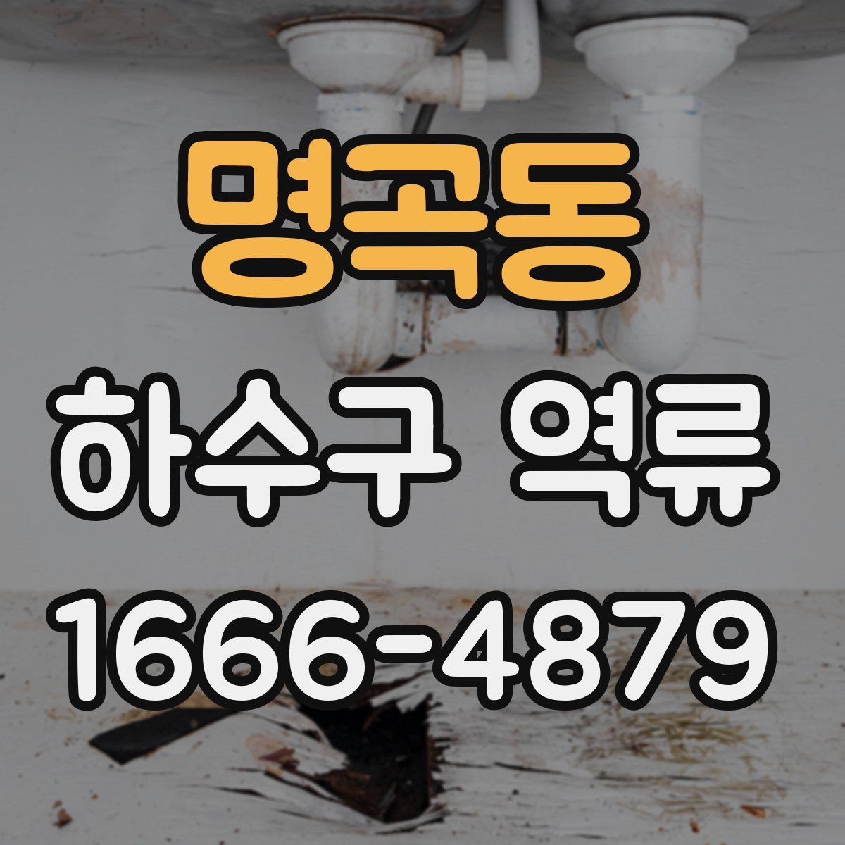 명곡동 하수구 역류