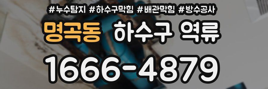 명곡동 하수구 역류