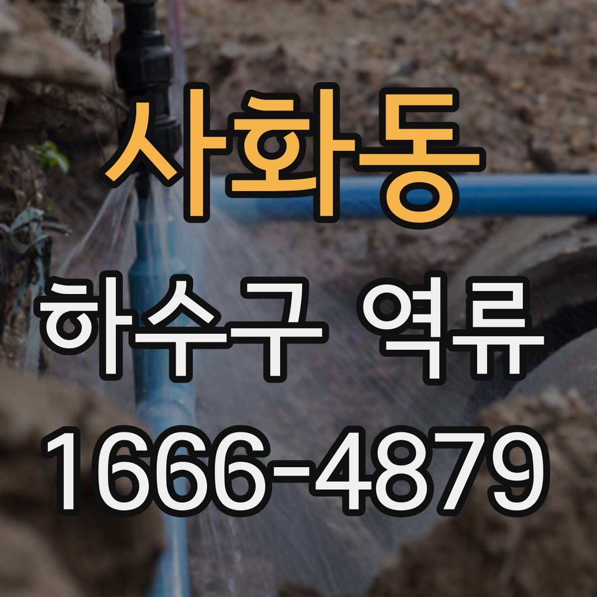 사화동 하수구 역류