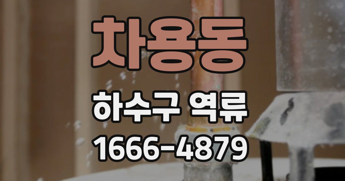 차용동 하수구 역류